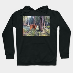 Scottish Highland Cattle Calf 1594 Hoodie